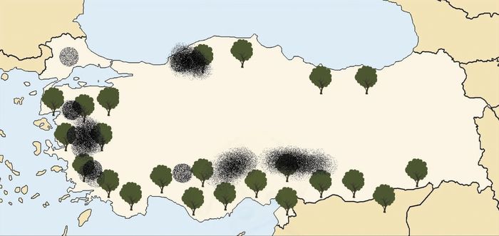 tourkia-neos-kanonismos-epitrepei-tin-apomakrynsi-elaiodentron-gia-tin-exoryxi-anthraka-258942