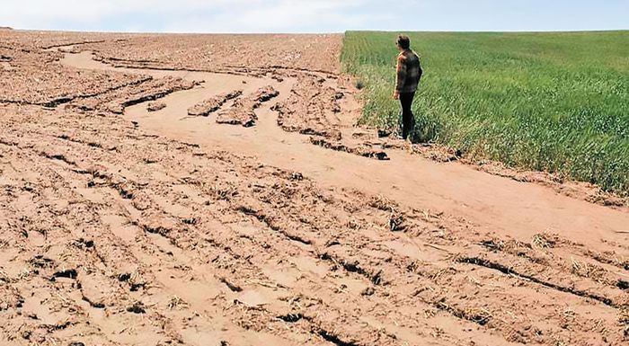grain-meta-tis-arpages-gis-oi-kolossoi-tis-agroviomichanias-emfanizontai-os-sotires-ton-edafon-256720