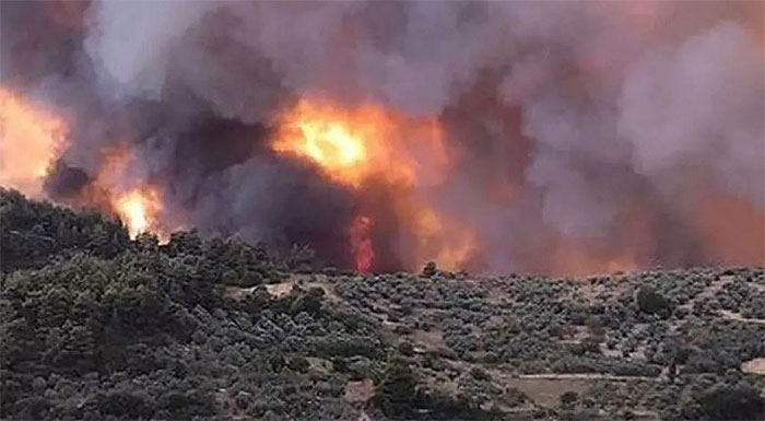 v-evvoia-dimosieftike-i-2i-apofasi-gia-epichorigisi-pyroplikton-agrotikon-ekmetallefseon-257497