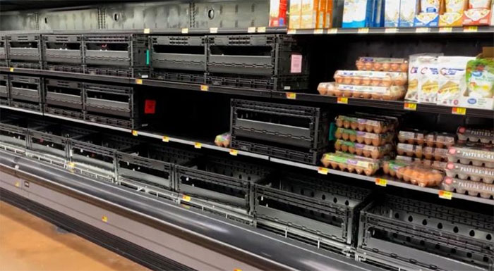 germania-elleipseis-se-vasika-proionta-prokaloun-agores-panikou-sta-souper-market-akrivainoun-ta-lipasmata-257452