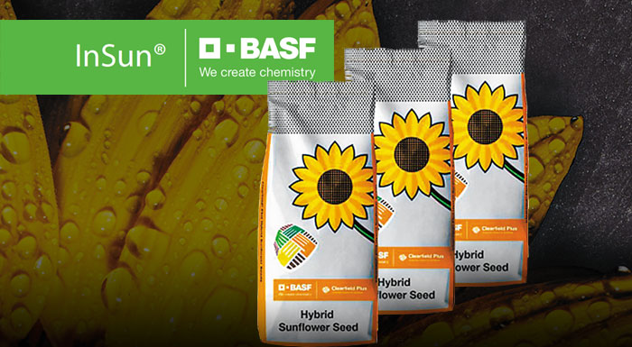 basf-insun-epilogi-ebistosynis-258916