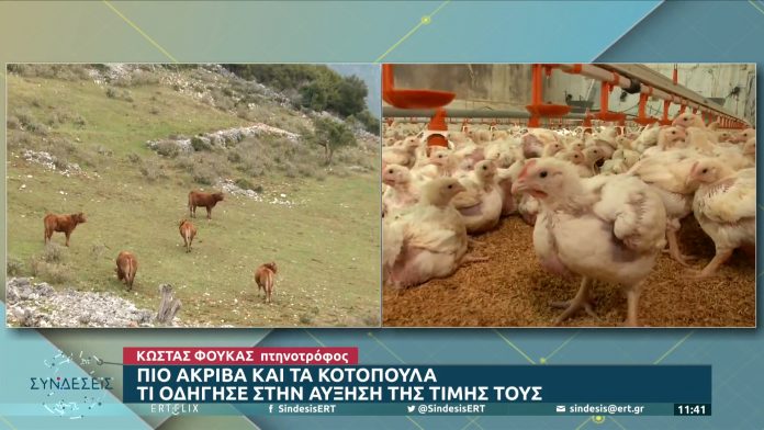 kampanaki-apo-ptinotrofous-ioanninon-pou-ofeilontai-ayksiseis-stin-timi-poulerikon