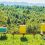 «Πράσινο φως» για την αποκατάσταση του Μελισσοκομικού πάρκου Δαδιάς