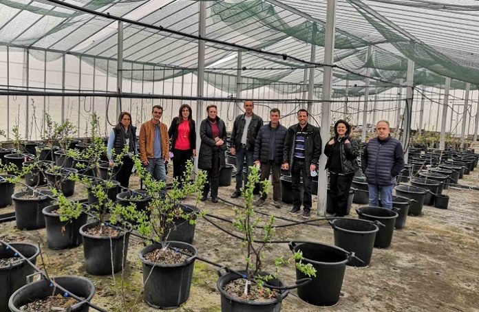 tmima-fyllobolon-oporoforon-dendron-naousas-episkefthikan-meli-dioikisis-elgo