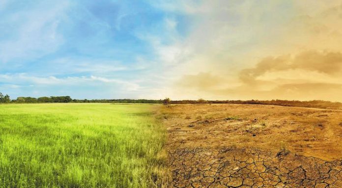 -10-11_paragogikos_efieis-web-resources_k3_efihs_georgia_700x385