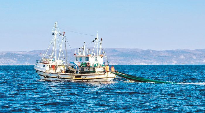 sos-apo-tous-psarades-tou-thrakikou-261224