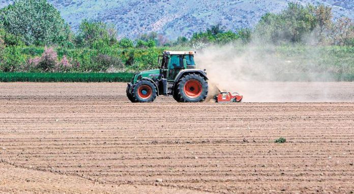 -26_arthro_bambaki-web-resources_agrotikes-epidotiseis_700x385