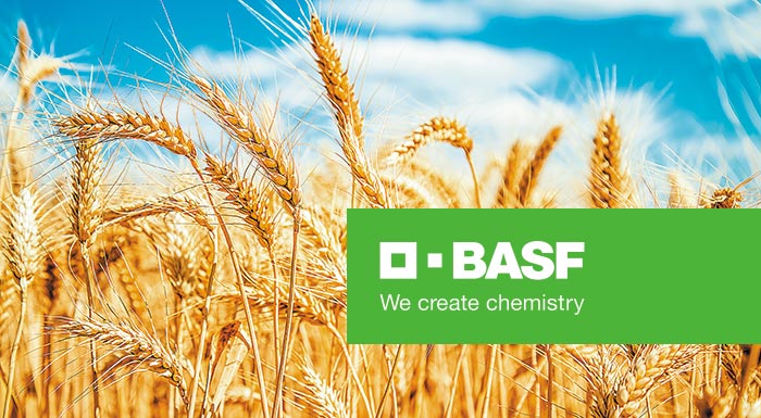 basf-i-epistimi-piso-apo-ta-zymarika-sou-260889