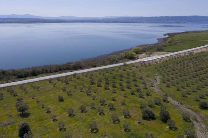 monadiko-mesogeio-dasoktima-60000-agrielies-bolbi