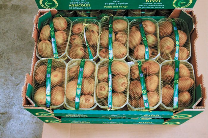 tin-yperaxia-tis-organomenis-paremvasis-sto-aktinidio-yperaspizetai-i-eas-kavalas-262089