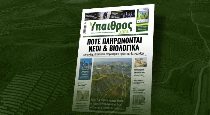 diavaste-stin-ych-pote-plironontai-neoi-agrotes-kai-viologika-264058