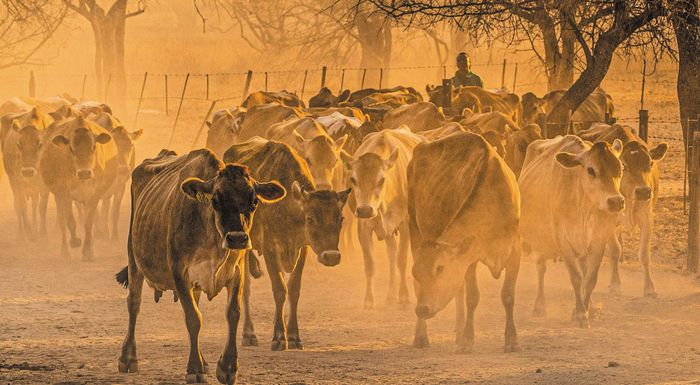 kenya-oi-ithageneis-ktinotrofoi-antistekontai-stin-idiotikopoiisi-tis-viopoikilotitas-262849