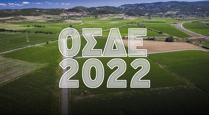osde2022