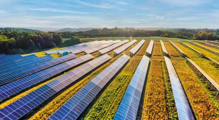 --10-11_vamvaki_foto-web-resources_agrisolar-roundup-photo-scaled_700x385