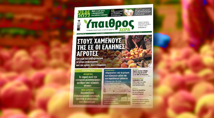 diavaste-stin-ych-stous-chamenous-tis-ee-oi-ellines-agrotes-265478