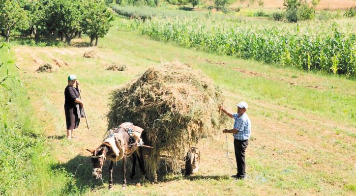alvania-oi-agrotes-lamvanoun-18-fores-chamiloteres-epidotiseis-apo-ta-ypoloipa-d-valkania-265816