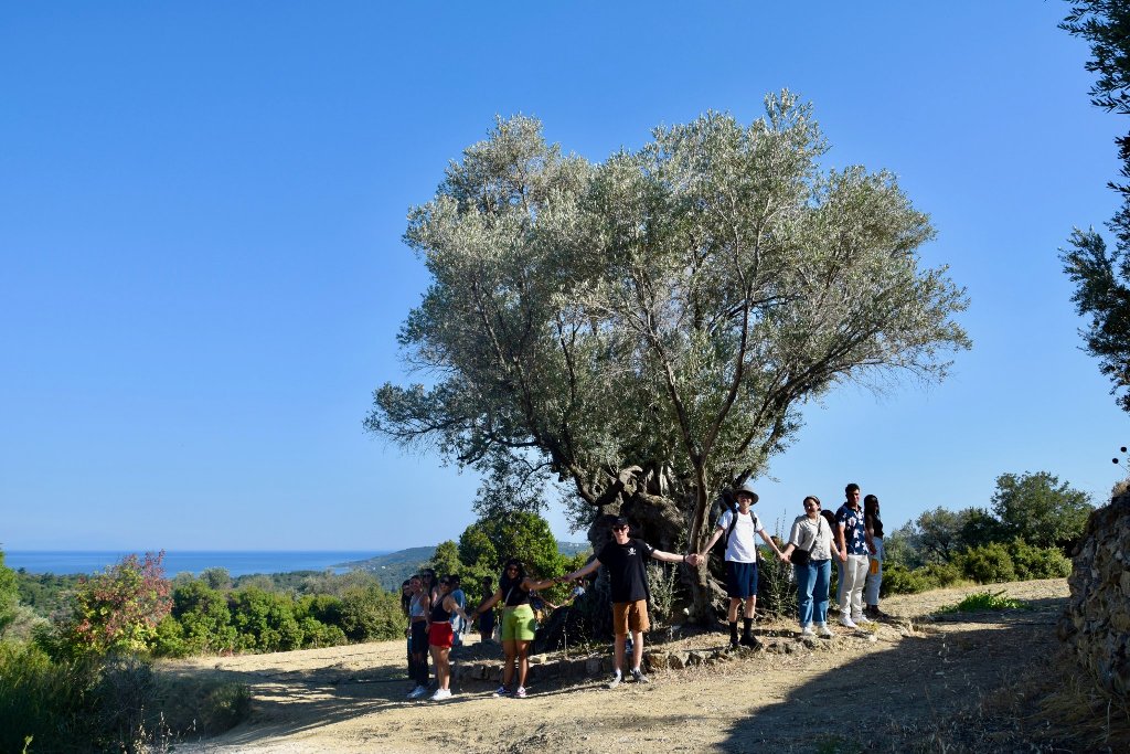 chios-erevna-gia-ti-mesogeiaki-diatrofi-apo-to-berkeley-kai-to-aristoteleio-267083
