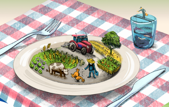 from-farm-fork-synexizetai-meiosi-xrisis-ximikon-fytofarmakon-stin-ee