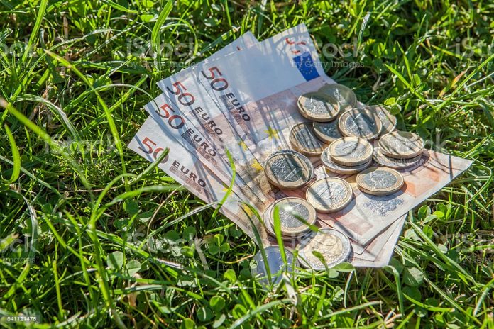 Euro money, bills and coins on the grass.