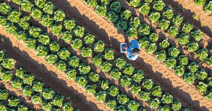 epta-evdomades-gemates-agrotechnologia-sto-plaisio-tou-ergou-agtech7-265014