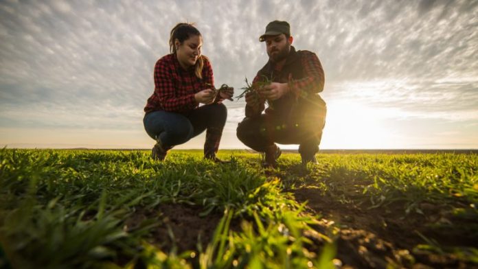 young-farmer