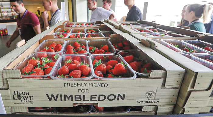 oi-fraoules-tou-tournoua-wimbledon-paragontai-me-ti-voitheia-aisthitiron-268182