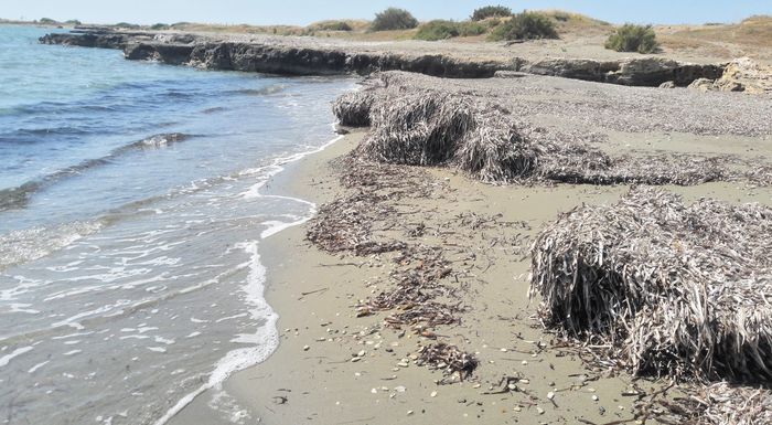 i-prostasia-kai-i-diasosi-tis-poseidonias-sto-epikentro-268772