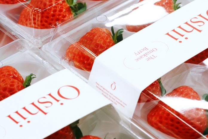 First_Harvest_of_Omakase_Berries.0