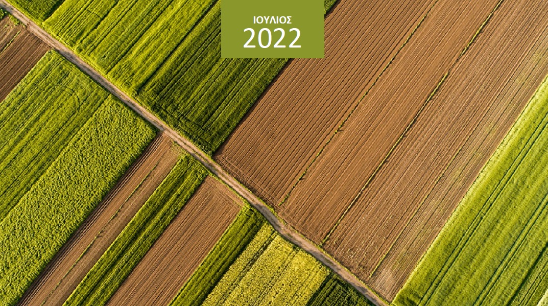 deltio-timon-peiraios-iouliou-apoklimakosi-stis-times-agrotikon-proionton-me-protagonistes-sitari-kalaboki-kai-vamvaki-269474