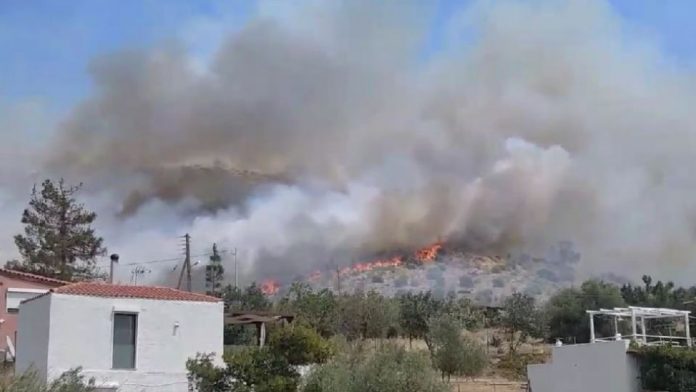 glyfada-fotia