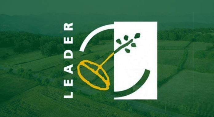 leader