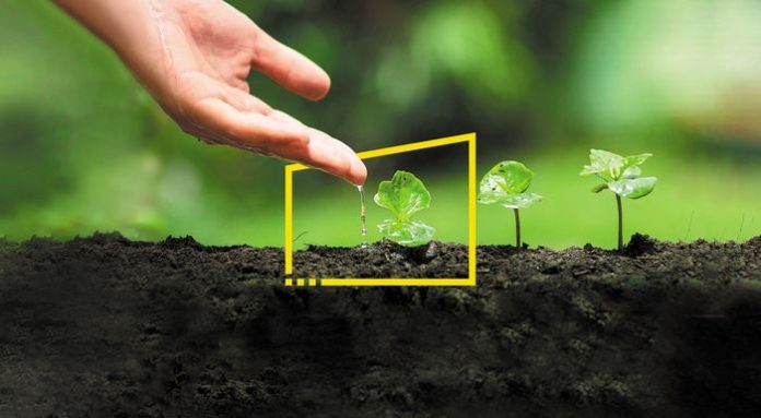 --12-13_paragogikos_efieis-web-resources_ey-sustainability-static_700x385