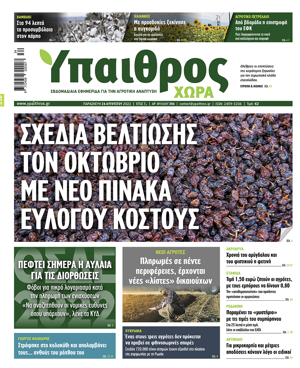 fyllo-356-paraskevi-26-avgoustou-2022-271434