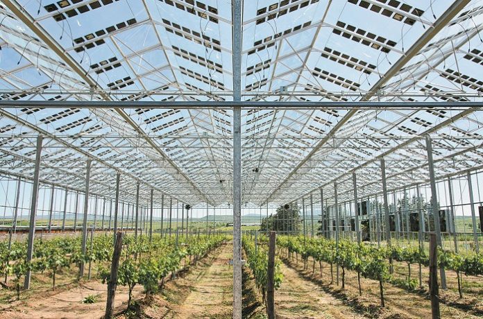 Brite_Greenhouse_1