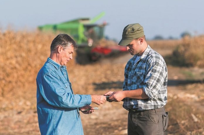 Happy farmer after harvest of corn