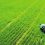 ΗΠΑ: Οι οργανώσεις παραγωγών διευκρινίζουν τις προτεραιότητές τους για το επόμενο αγροτικό νομοσχέδιο