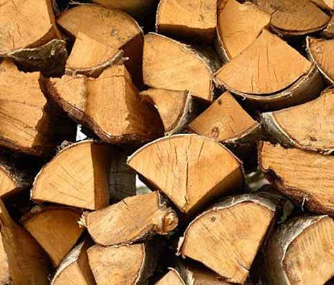 rodopi-sta-230-250-evro-o-tonos-ta-kafsoxyla-eno-persi-tetoia-epochi-itan-140-evro-271382