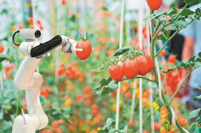 robs4crops-stin-oreini-ellada-ta-peiramata-me-robot-271501