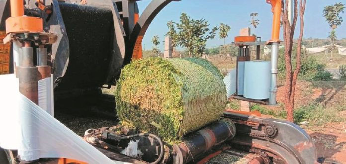 small-bales-corn-silage-1611130911-5683117
