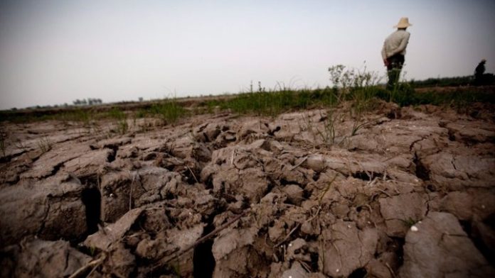 w19-85215CHINADROUGHT1