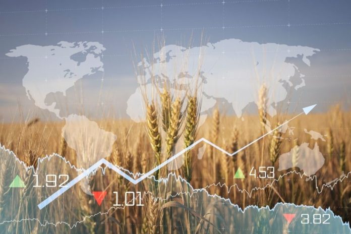 Grain-food-world-prices-inflation_cr-Adobe-Stock_E