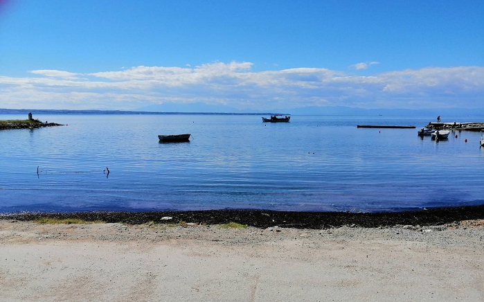 thessaloniki-sto-spiti-tous-to-neo-alieftiko-katafygio-apo-to-2024-oi-psarades-tis-neas-krinis-273816