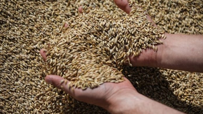 aystralia-ektimisi-kerdi-rekor-apo-eksagoges-agrotikon-proionton-2022