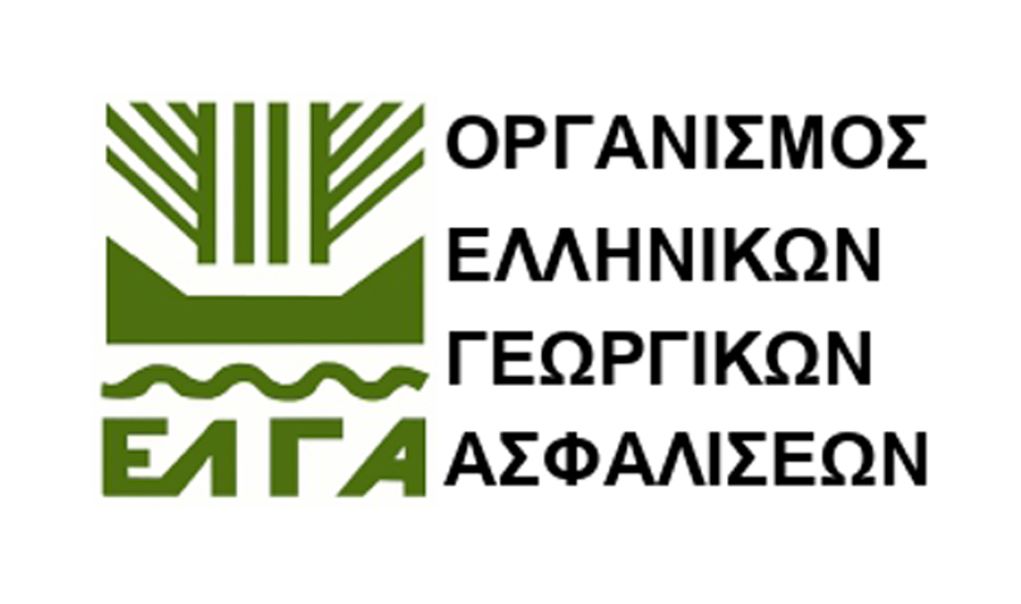 dimos-monemvasias-diloseis-zimias-sta-syka-apo-tis-vroches-tis-25is-avgoustou-2022-271960