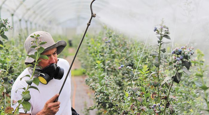 efsa-se-poies-chores-kai-se-poia-trofima-entopistikan-fytofarmaka-272375