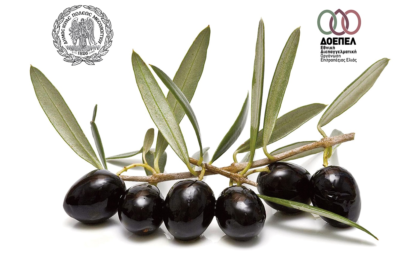 imerida-gia-tin-elia-sti-stamna-mesolongiou-tin-paraskevi-23-septemvri-273031