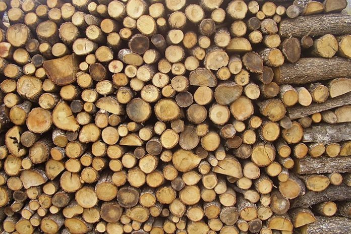 ypen-dorean-kaysoksyla-katoikous-oreinon-perioxon-