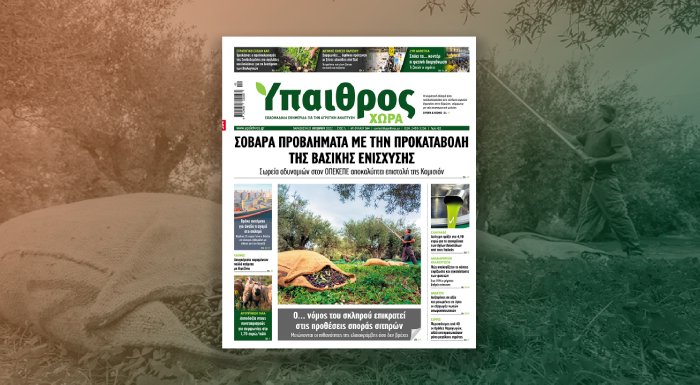 diavaste-stin-ych-sovara-provlimata-me-tin-prokatavoli-tis-vasikis-enischysis-275838