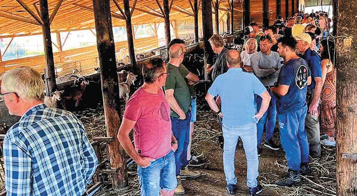 karditsa-me-klasiki-mousiki-o-apogalaktismos-stin-aigofarma-kostopoulou-274617