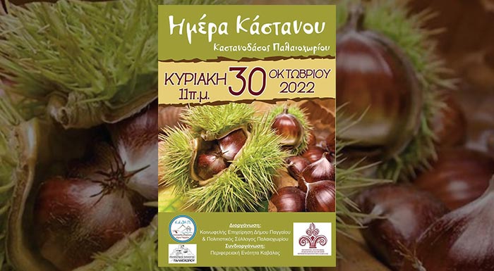 imera-kastanou-sto-kastanodasos-palaiochoriou-kavalas-276474